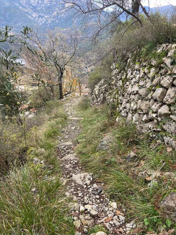 Maison à MALAUSSENE