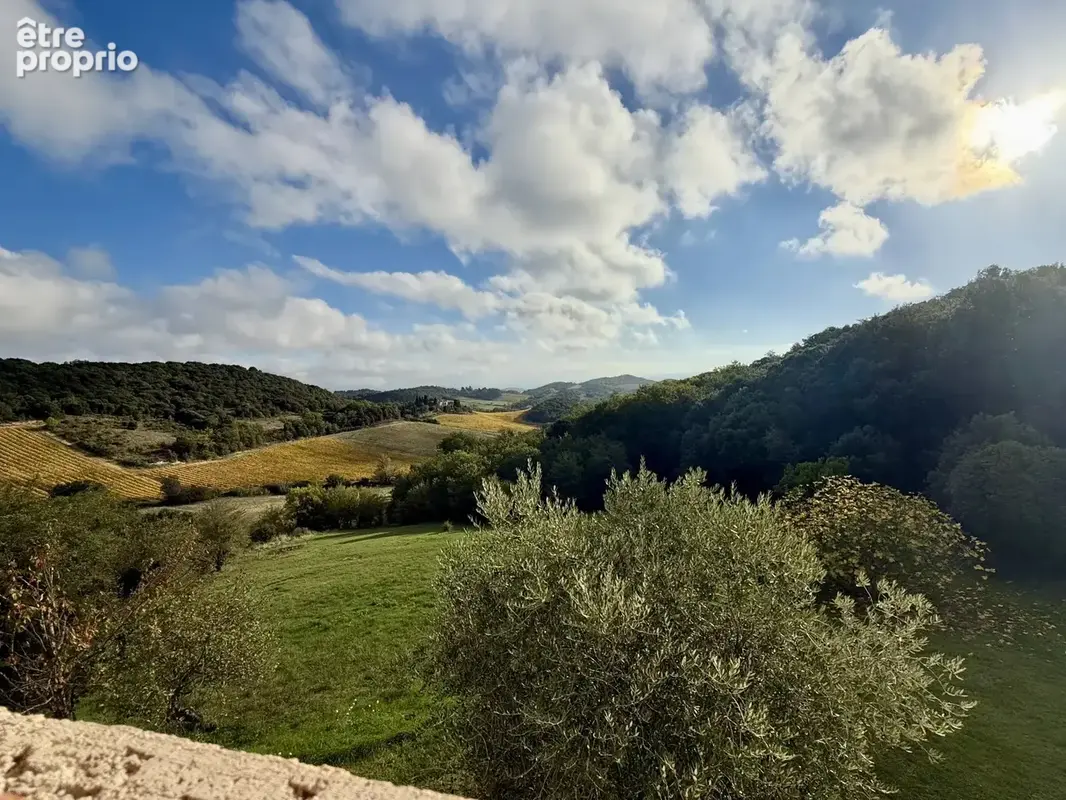 Domaine de charme avec trois gites proche de Limoux - photo 14