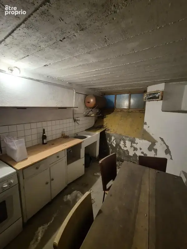 Maison 243 m² à vendre à Besse (38142) - photo 2