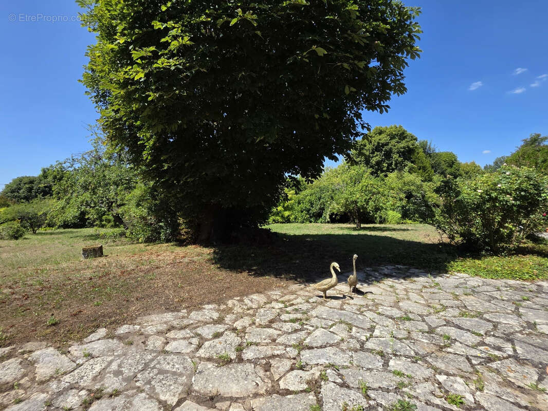 Maison à FONTAINEBLEAU