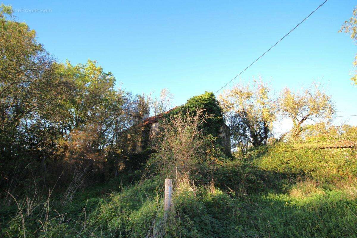 Maison à LA FOUILLADE