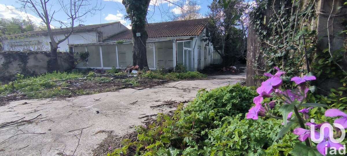 Photo 2 - Maison à COGNAC