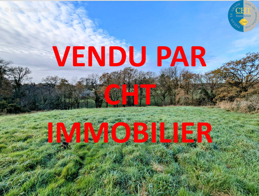 Terrain à MONTENEUF