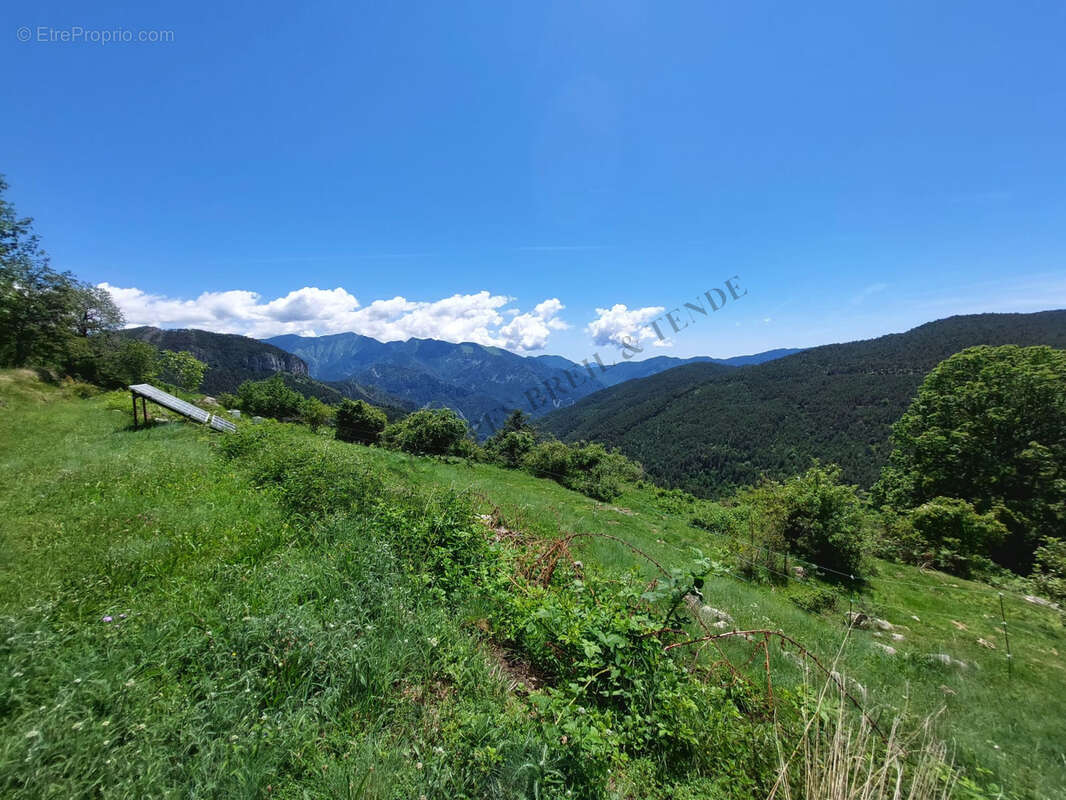 Vue panoramique - photo 22