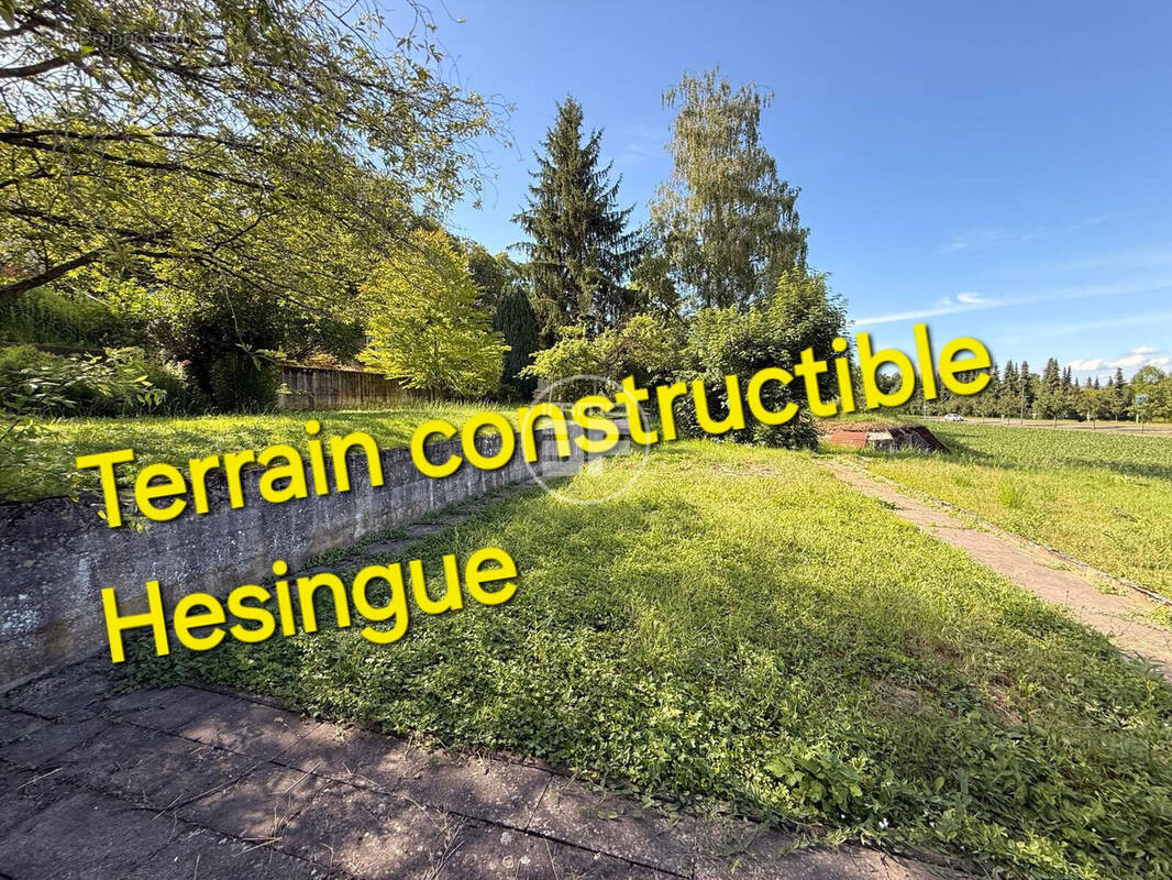 Terrain à HESINGUE