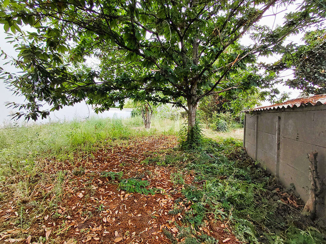 Terrain à SAINTE-LUCE-SUR-LOIRE