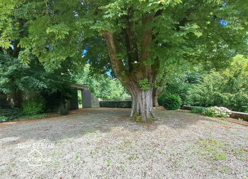 Maison à CELLES-SUR-BELLE