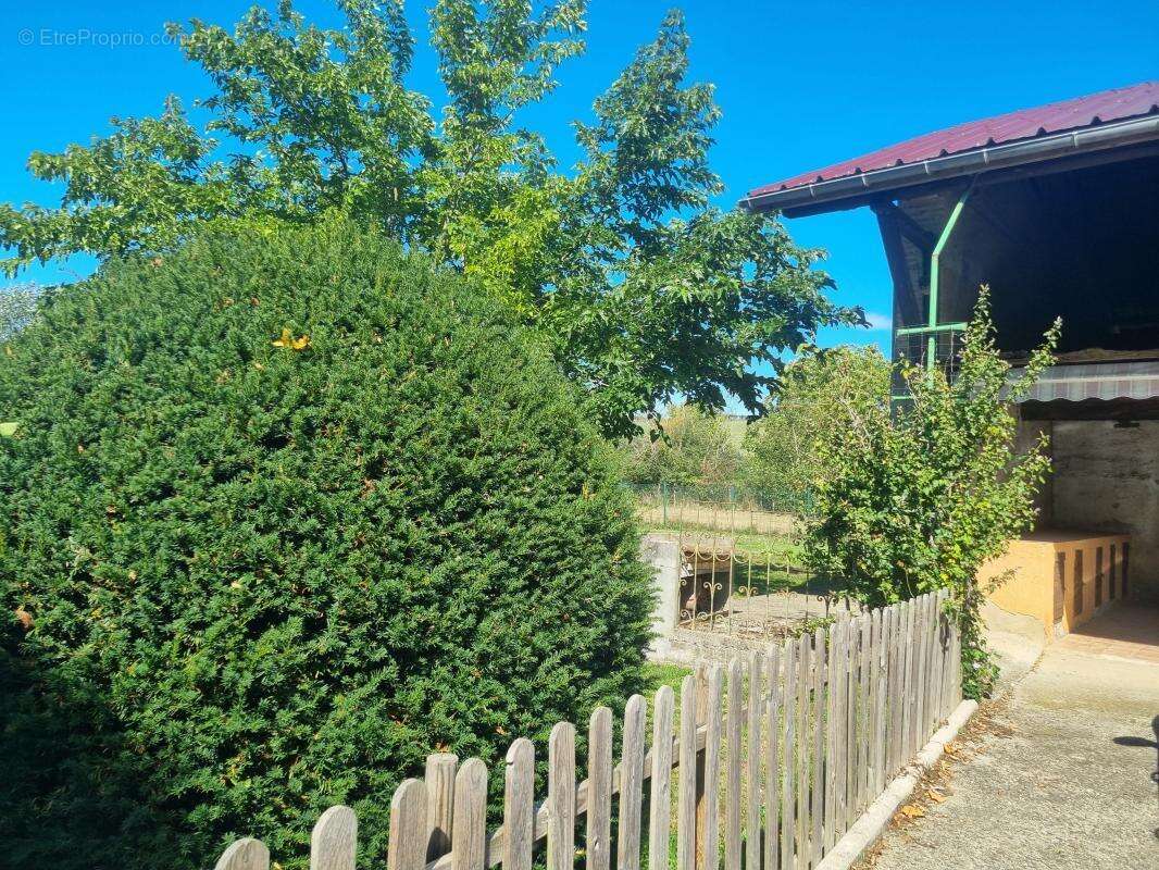 Opportunité à Chatonnay – À rénover ou clé en main selon votre projet - photo 4
