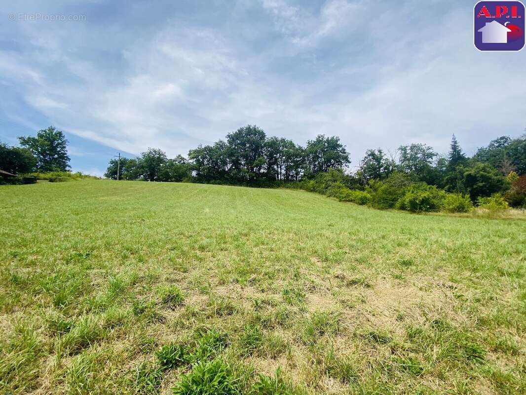 Terrain à DAUMAZAN-SUR-ARIZE