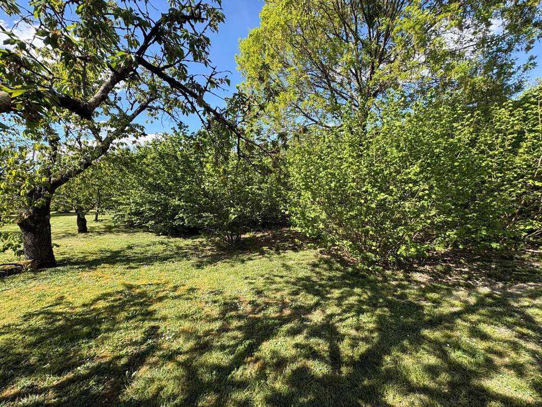 Photo 4 - Maison à GOUDOURVILLE