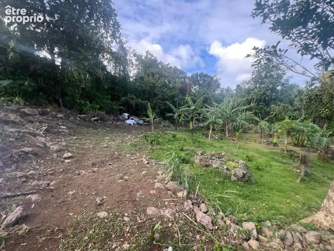 Terrain à construire de 968m2 - Trois-Rivières (97114) - photo 3