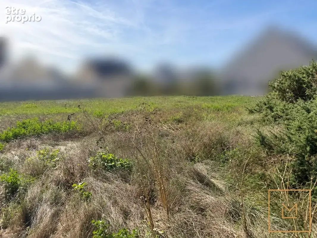 Terrain 800 m² à vendre à Portbail (50580) - photo 2