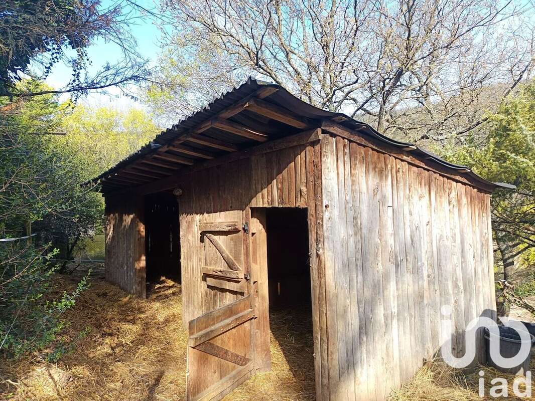 Photo 5 - Maison à SAINT-THOME