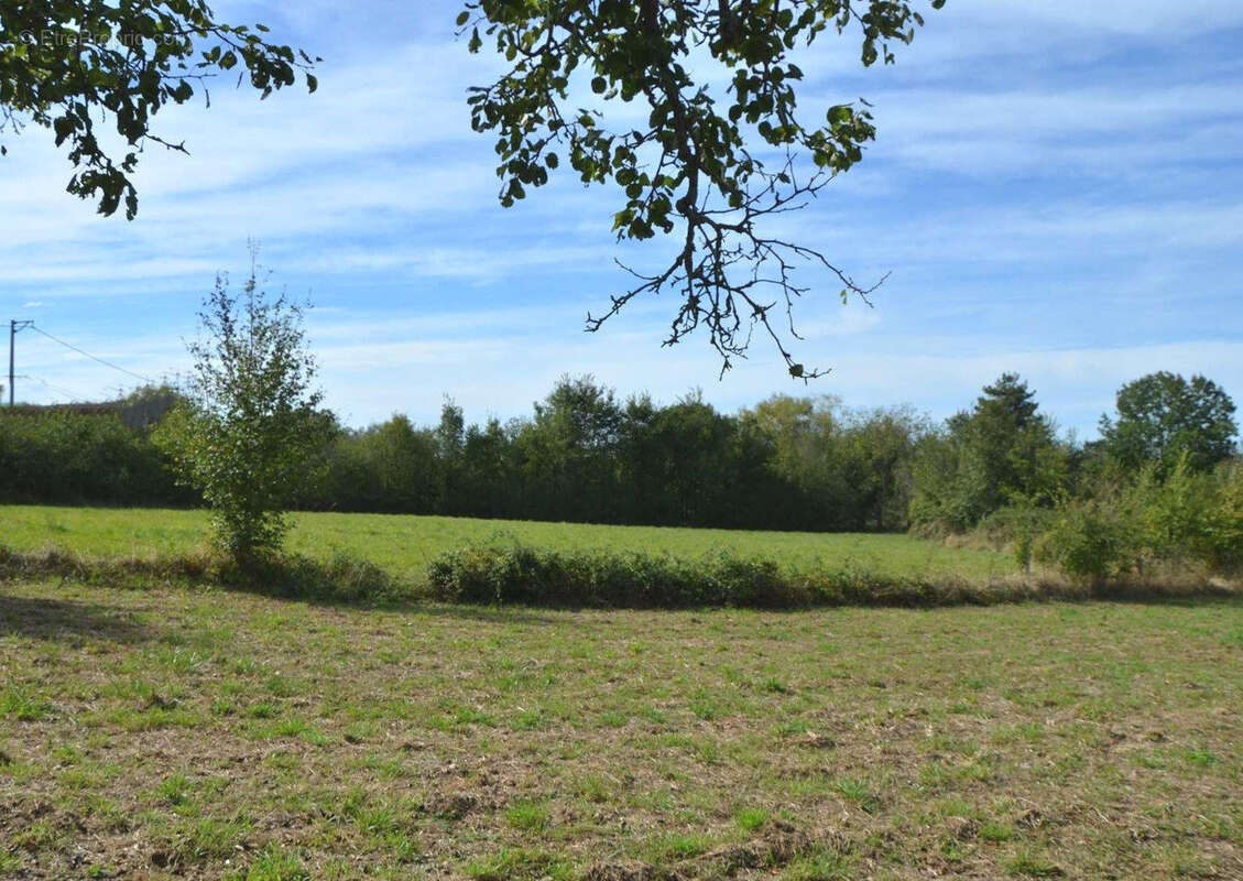 Maison à LE CHATELET