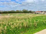 Terrain à SAINT-PAUL-DE-VARAX