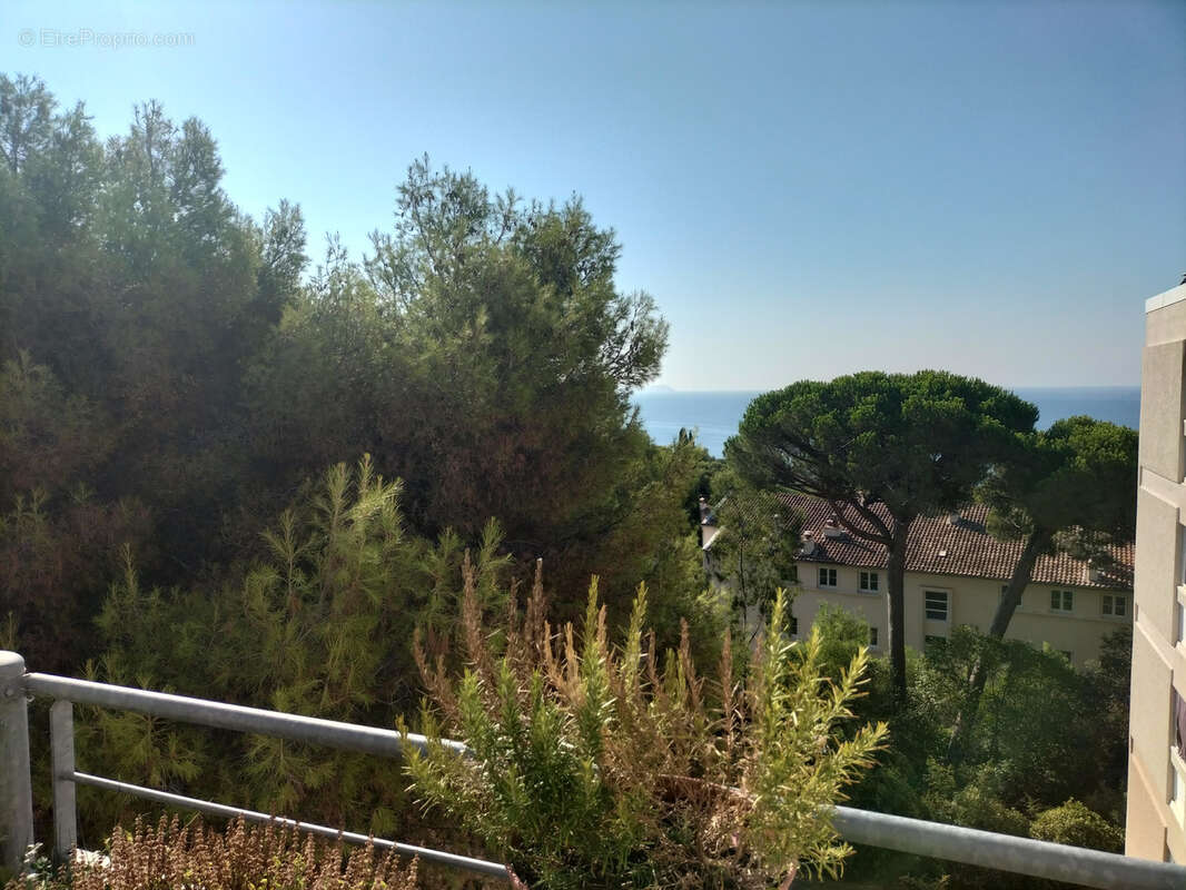 Toulon - lamalgue - photo 10