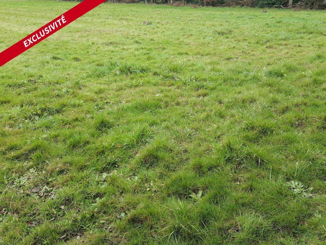 Terrain à VANNES