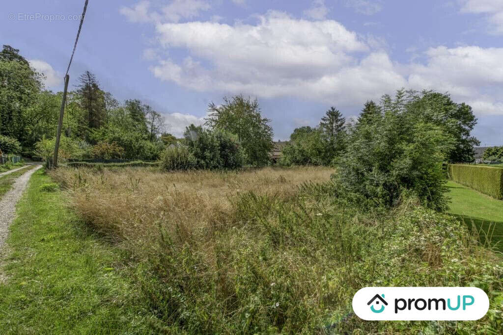 Terrain à THIEUX