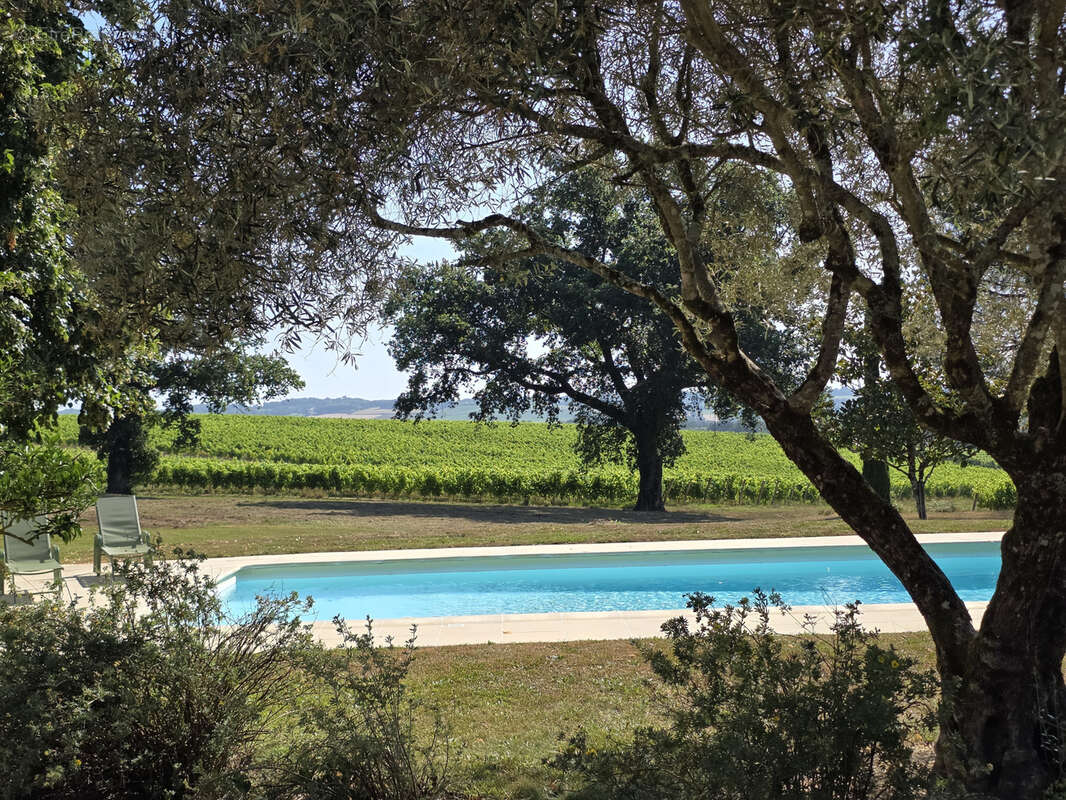 Proche eauze—maison de campagne avec piscine et dependances - photo 2