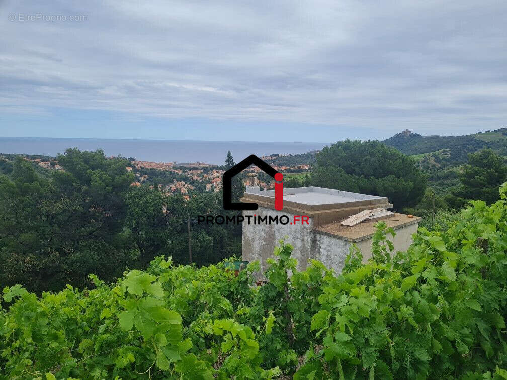 Terrain à COLLIOURE