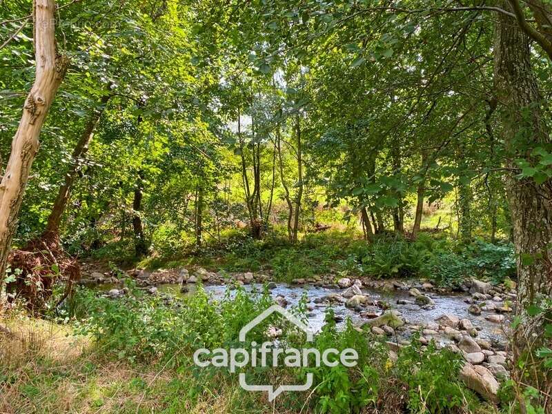 Maison à SAINT-ALBAN-D&#039;AY