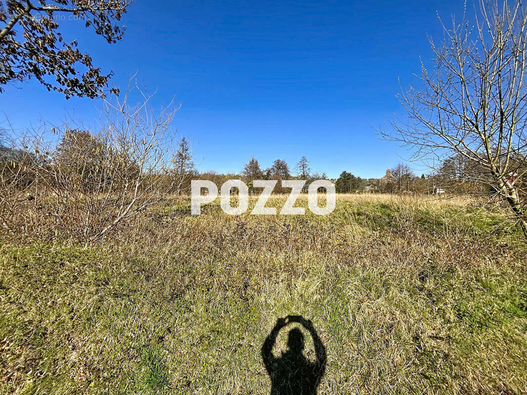 La lande d'airou - photo 3