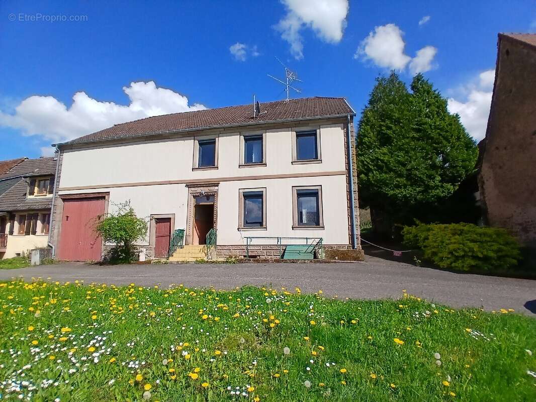 Maison à DIEMERINGEN
