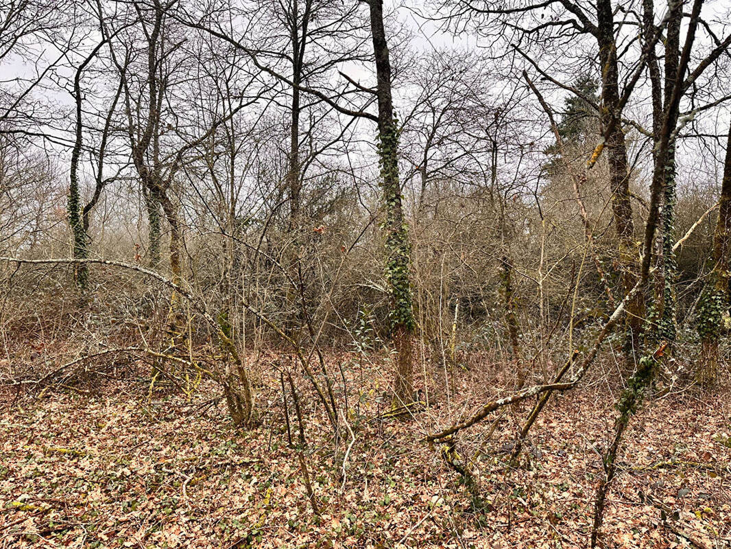 Terrain à AUBIGNY-SUR-NERE