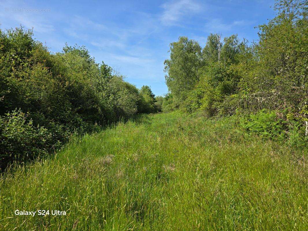 Terrain à MONTEREAU