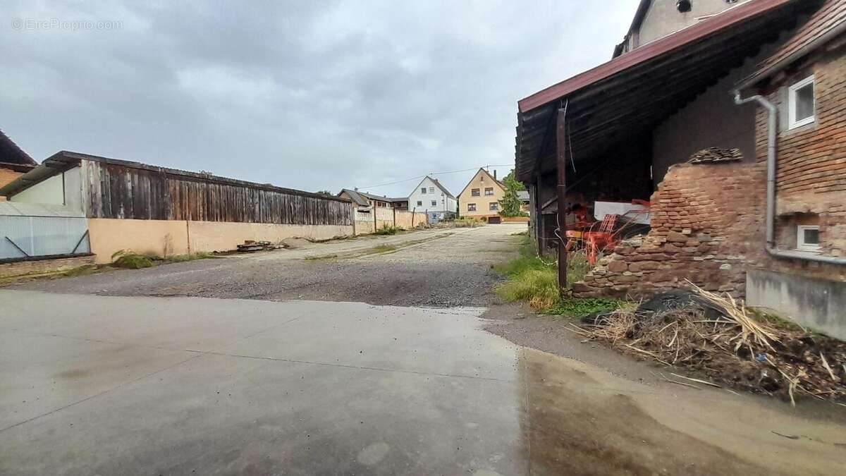 Photo 6 - Terrain à MITTELSCHAEFFOLSHEIM