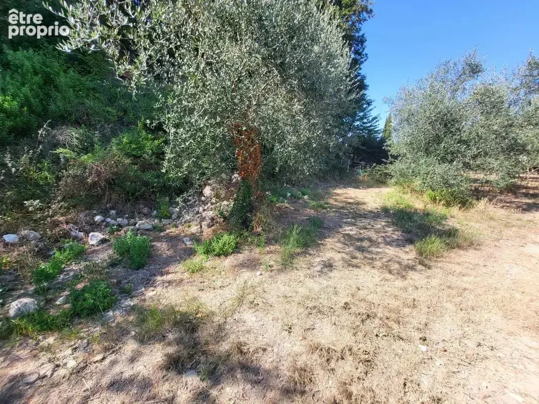 Terrain 16 415 m² à vendre à La Trinite (06340) - photo 15