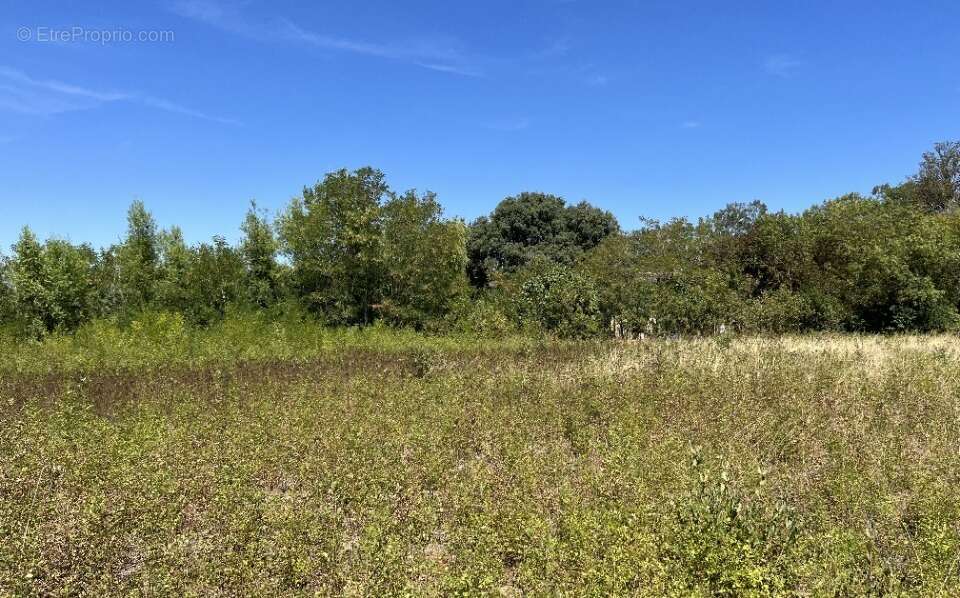 Terrain 1024 m² à Castelnaudary  - photo 2
