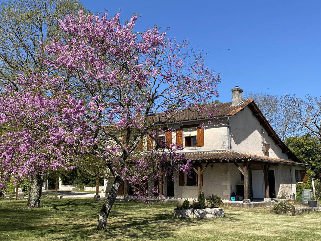facade - Maison à AUBETERRE-SUR-DRONNE