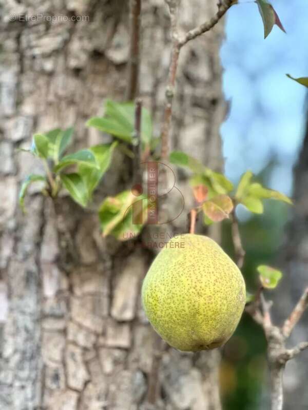 Maison à SAINT-MARTIN-EN-BIERE