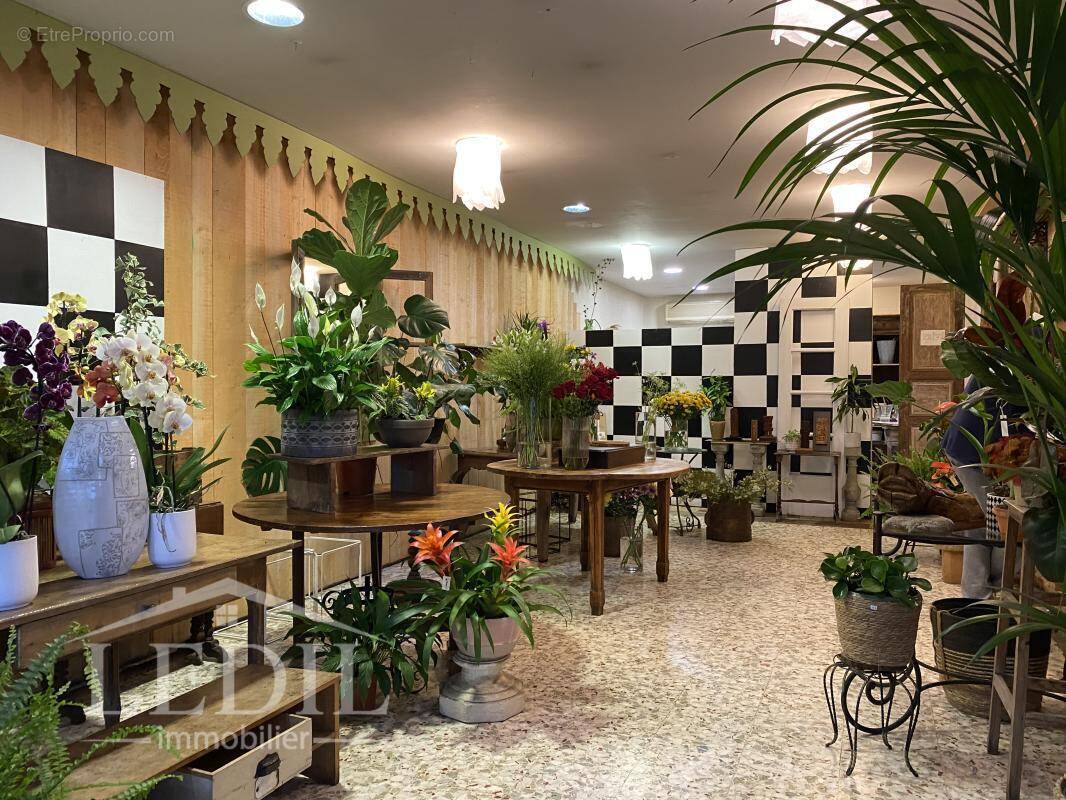 Commerce à VIC-FEZENSAC