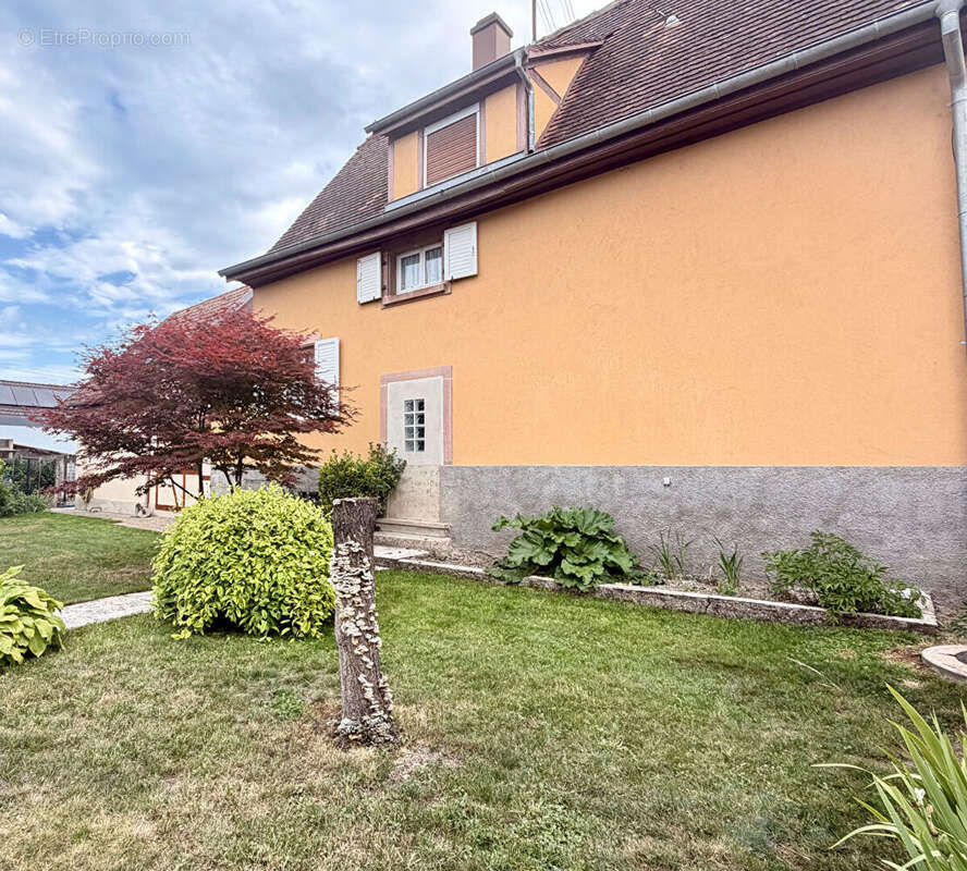 Maison à HILSENHEIM