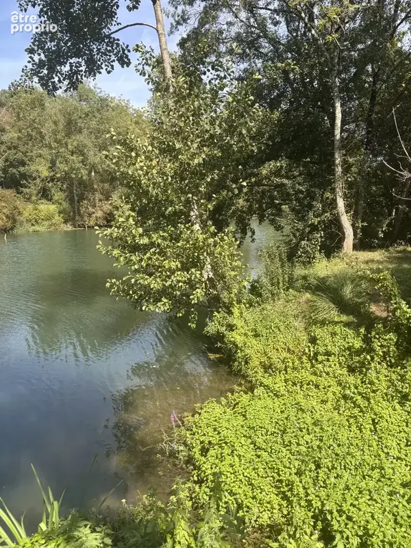 Terrain de loisirs - photo 3
