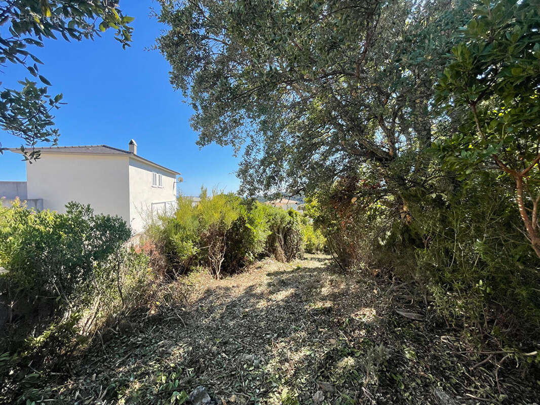 Terrain à SANTA-MARIA-DI-LOTA