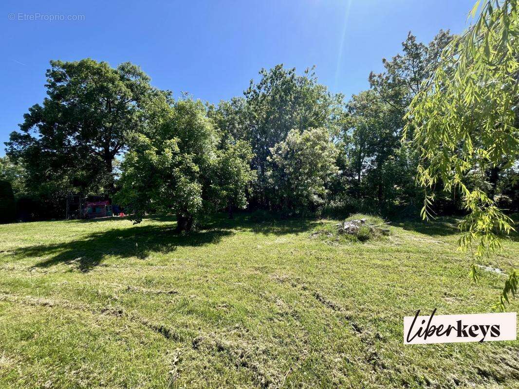 Terrain à MOISSIEU-SUR-DOLON