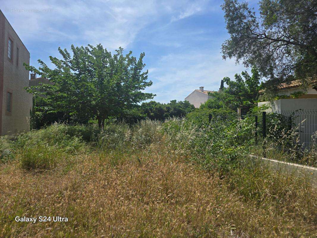 Maison à FRONTIGNAN