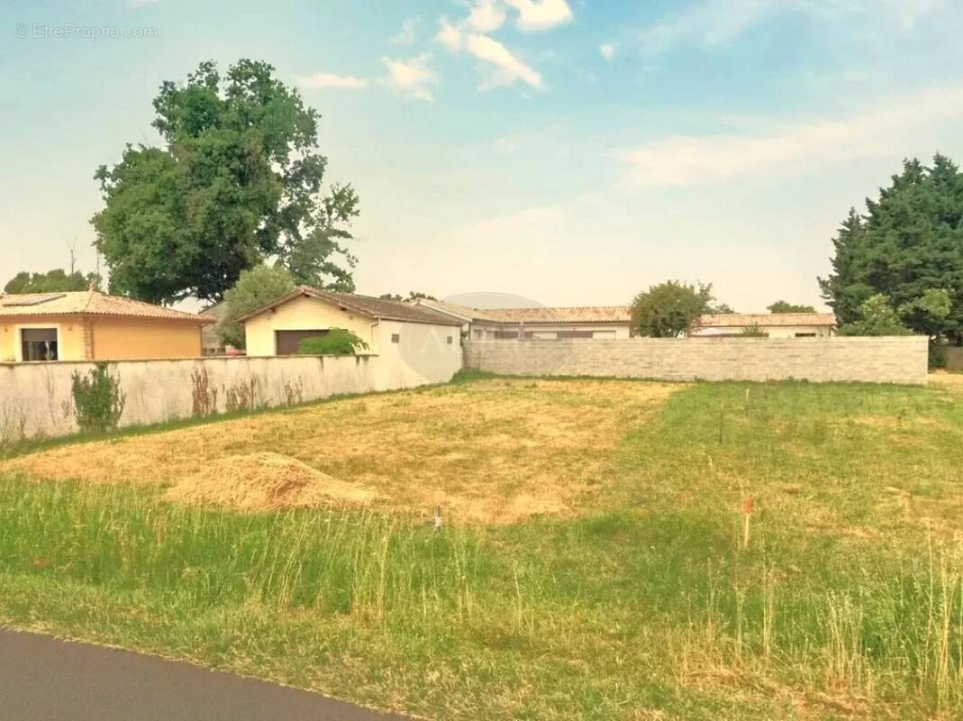 Terrain à SAINT-ANDRE-DE-CUBZAC