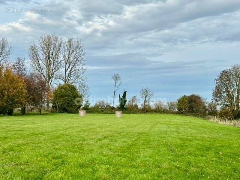 Terrain à MONCHY-BRETON