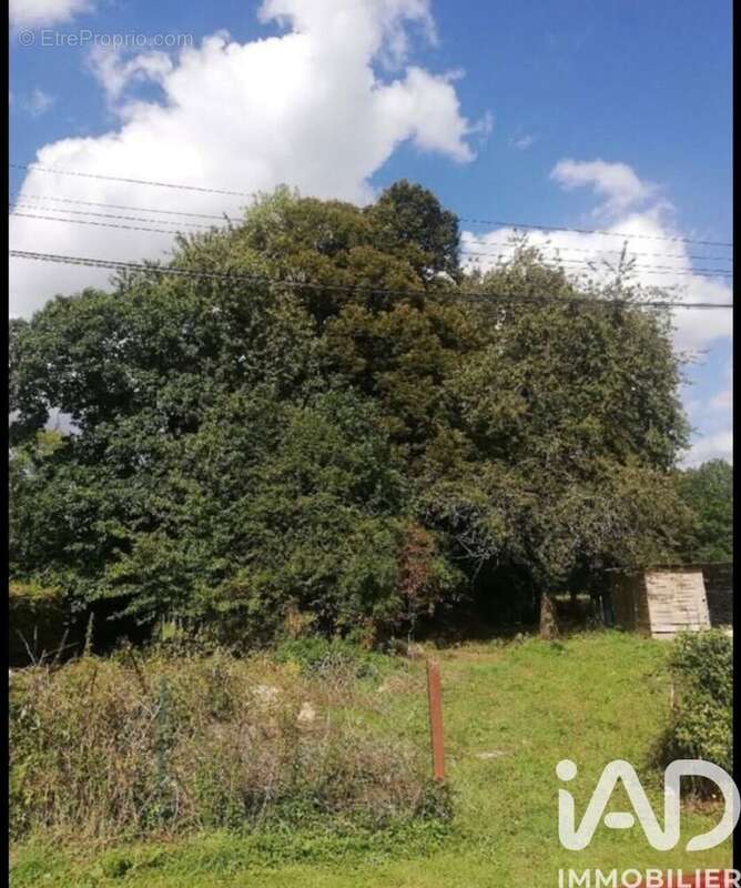 Photo 3 - Terrain à SAINT-PHAL