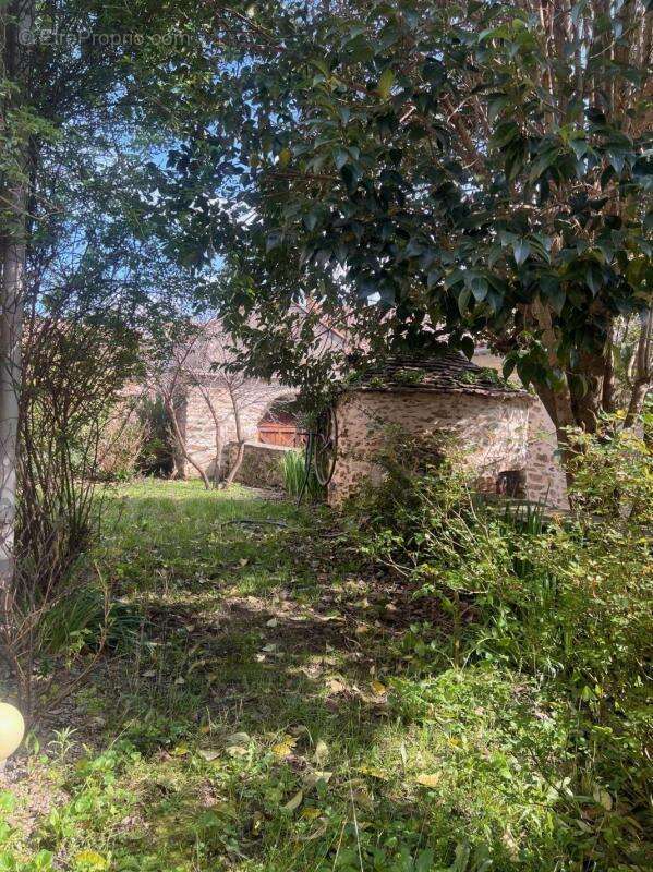Maison à SAINT-VINCENT-D'OLARGUES