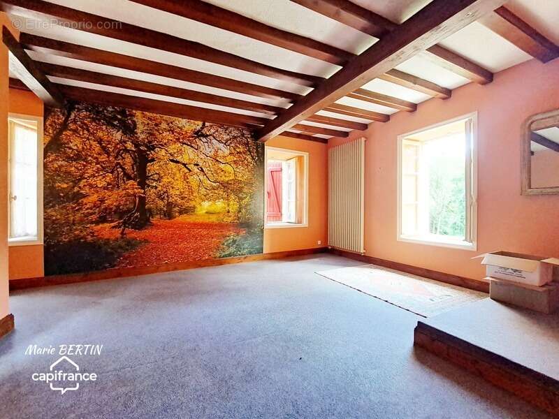 Maison à CELLES-SUR-BELLE