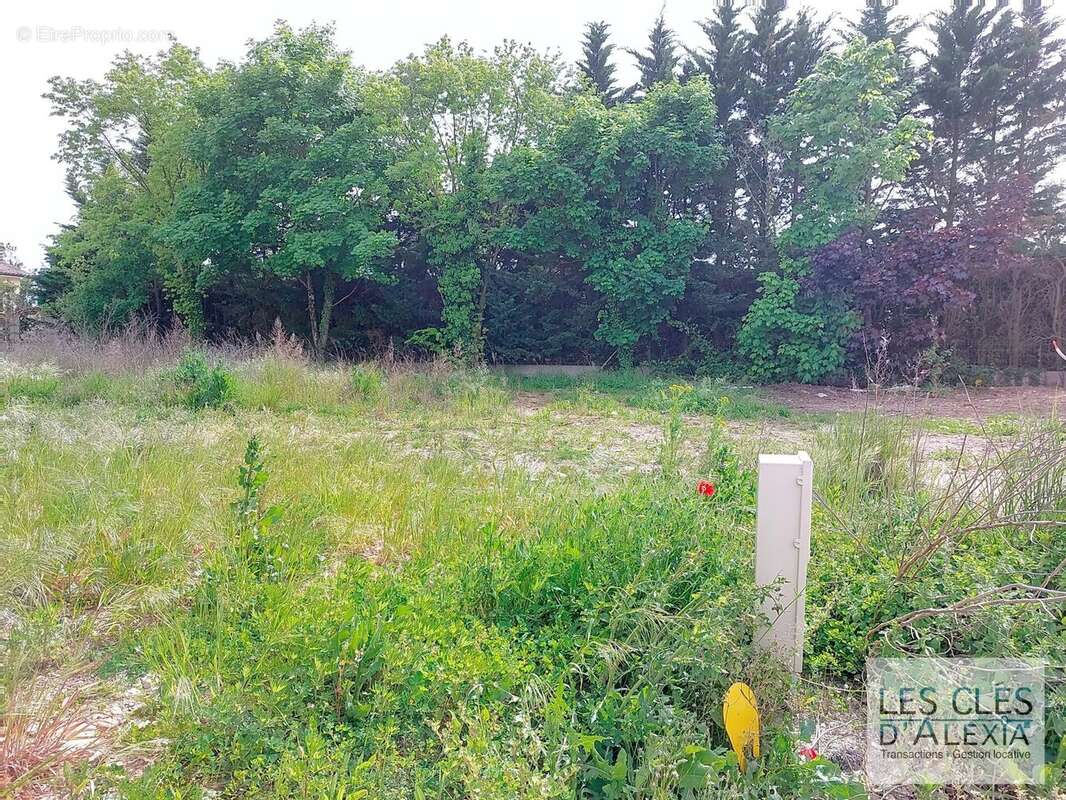 Terrain à SAINT-CLAIR-DU-RHONE