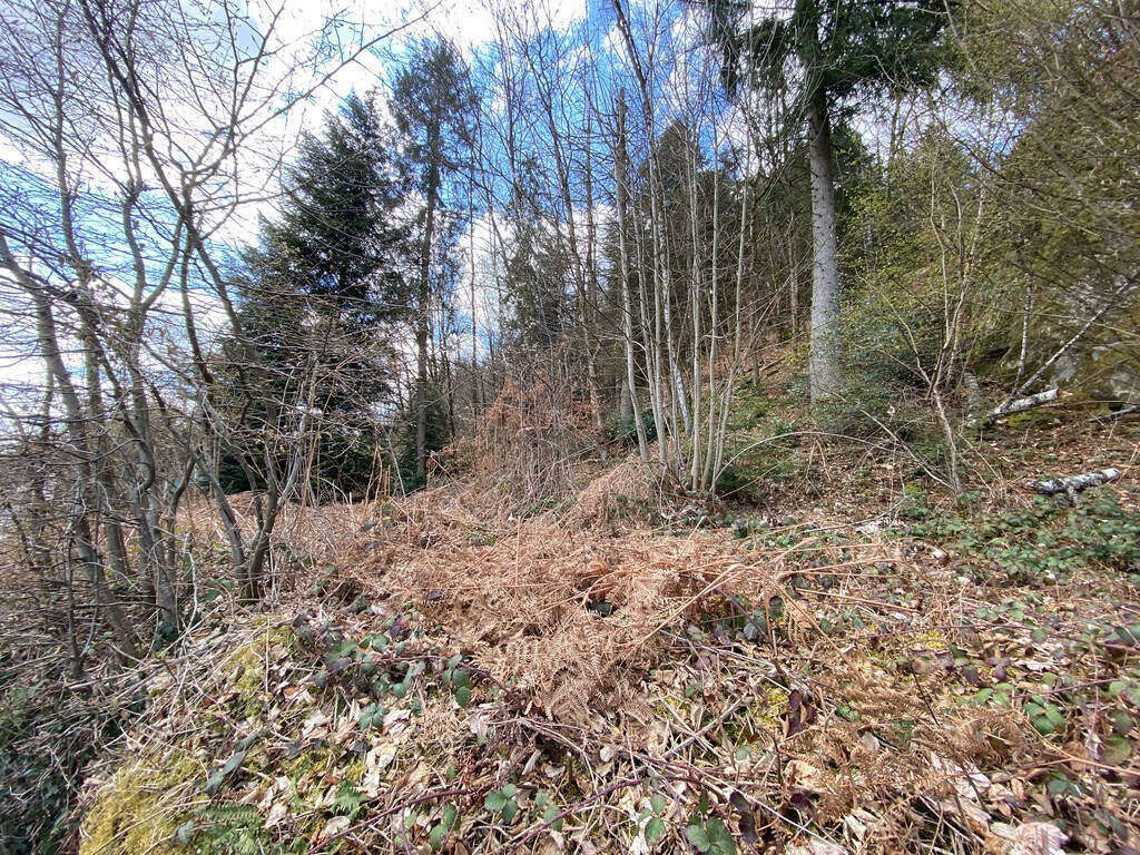 Terrain à SAINT-NABORD