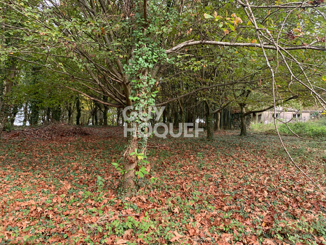 Maison à CASTILLON(CANTON D&#039;ARTHEZ-DE-BEARN)