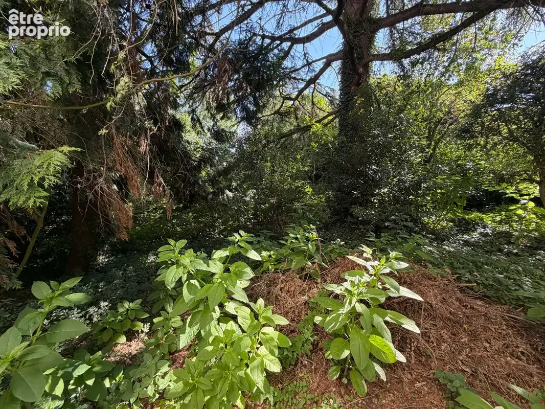 Maison 5 chambres - 3 garages - terrain - photo 15
