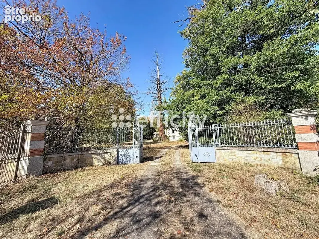 Maison 370 m² à Peschadoires  - photo 14